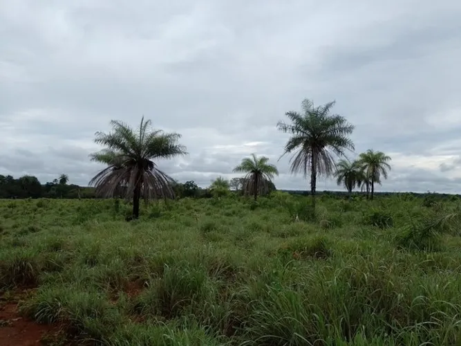 Fazenda em Pium. 