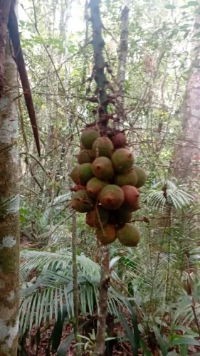 Ex comunidade dai-me a luz 13 mil mts 6  construções 187 mil reais
