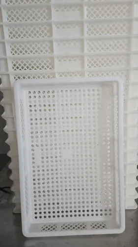 Bandeijas vazadas para congelamento. 