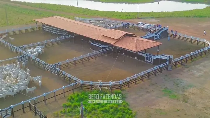 Imóvel para venda com metros quadrados em Área Rural de Tucuruí - Tucuruí - PA