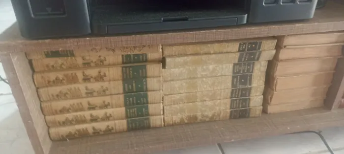 Coleção de livros antigos avalio propostas..