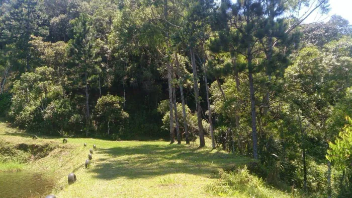 Sítio com 1 dormitório à venda, 157300 m² por R$ 800.000,00 - Dos Claros - Tapiraí/SP