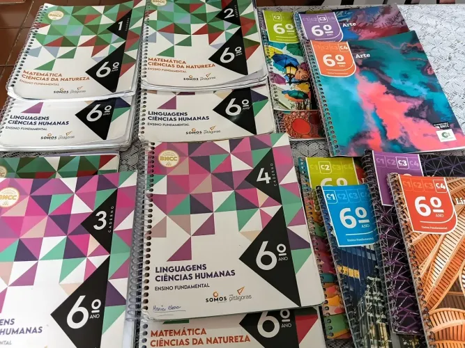 Livros 6° ano SOMOS PITÁGORAS coleção completa