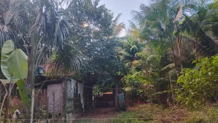 Vendo mini Sítio no Jambeiro - Lauro de Freitas