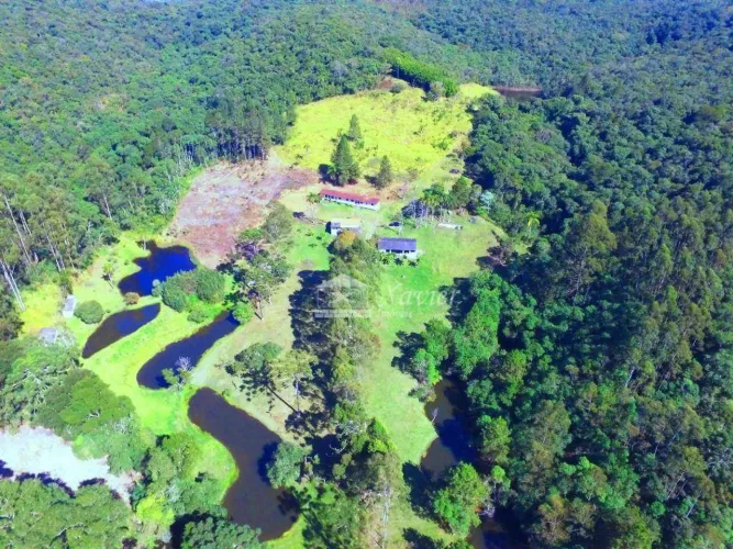 Sítio com 3 dormitórios à venda, 150000 m² por R$ 1.350.000,00 - Carmo Messias - Ibiúna/SP