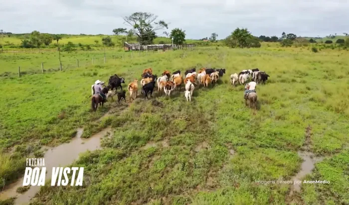 FAZENDA À VENDA - 44 ALQUEIRES - NOVA IPIXUNA