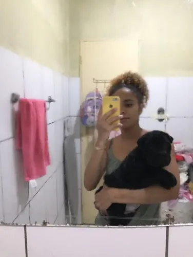 cachorro para doação