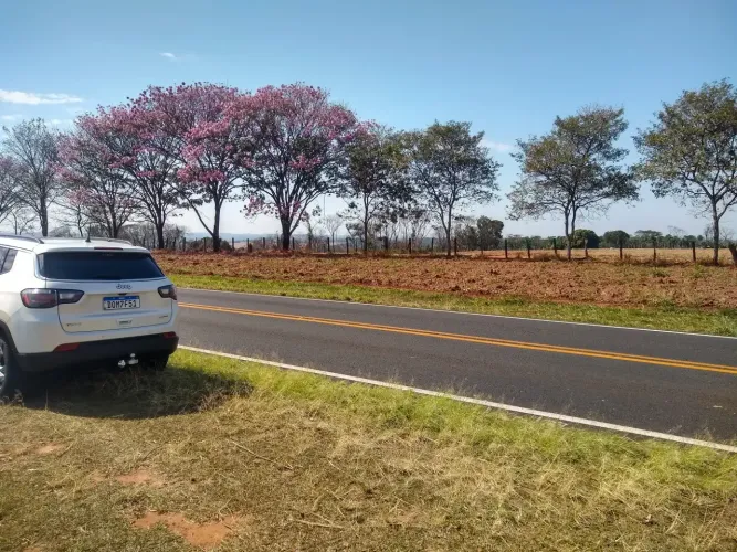 SITIO NO TREVO DE POLONI 24,5 ALQUEIRES INIGUALÁVEL NA REGIAO.