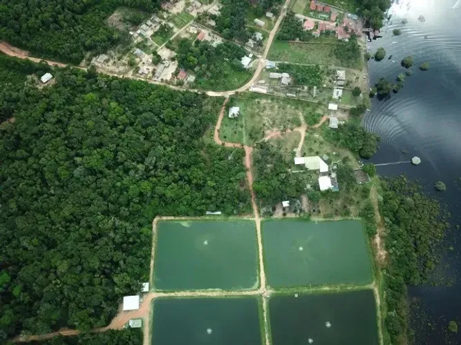Vendo Fazenda com 246 Hectares em Itacoatiara/ Pronta Para Diversas Atividades