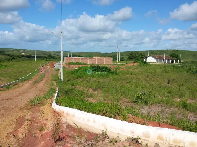 Terreno para Venda em Flexeiras