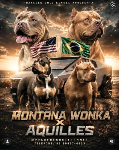 Filhotes de pit monster