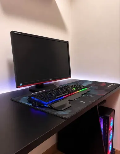 TELA GAMER AOC 24?