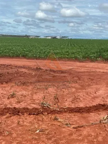 Fazenda - João Pinheiro - Zona Rural