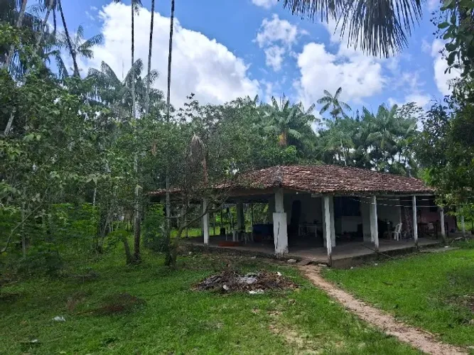 VENDO SÍTIO EM MARITUBA 290 MIL