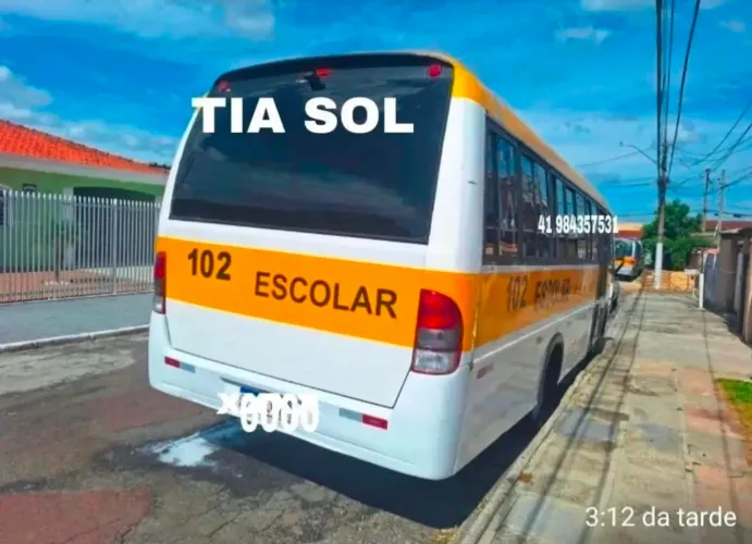 Tenho dois onibus volare w9 e v8