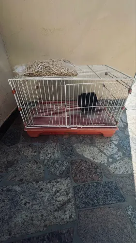 Gaiola quatigua para coelho