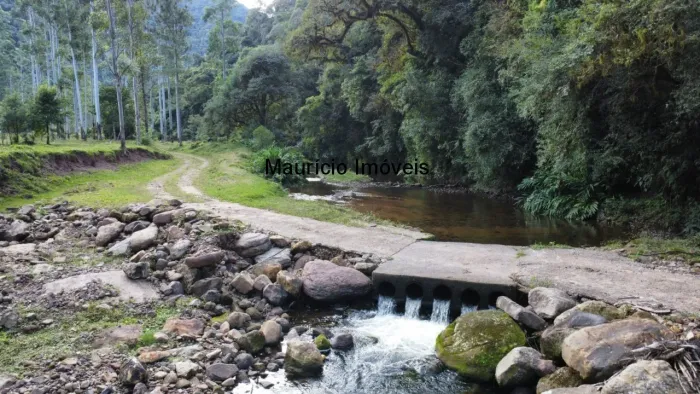 Fazenda com 250 hectares, Fazenda Passa Dois, Laranjeiras, Taió, S.C. Duas casas de madeir