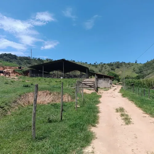 VENDO FAZENDA PARA PECUARIA REGIAO DE CRUCILANDIA - Mg ( 4305 )