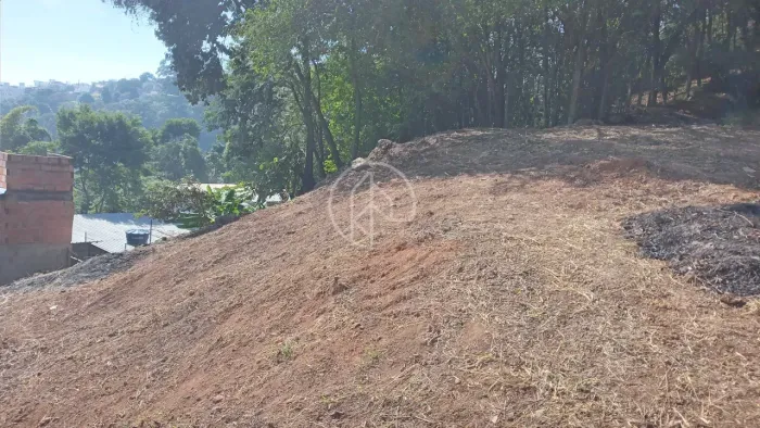 Imóvel para venda tem 383 metros quadrados em Serra D'Água - Juiz de Fora - MG