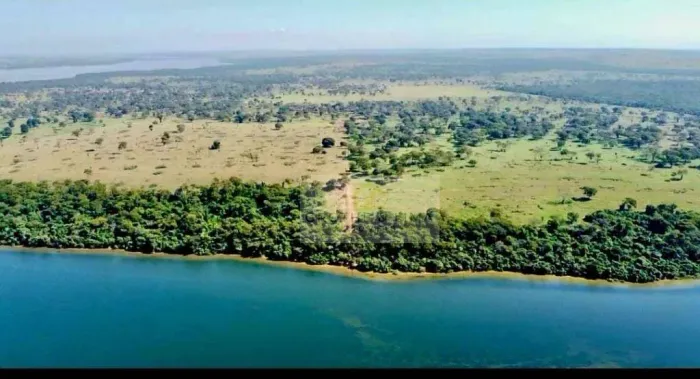 Ativo Rural Premium no MS Fazenda com Alta Aptidão Pecuária, Agrícola e Florestal