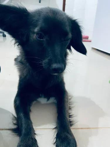 Doação 