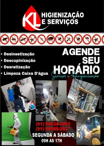 DEDETIZAÇÃO KL DEDETIZAÇÃO