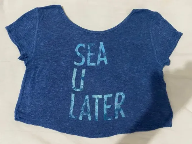 Blusa Hollister Original - Tam M