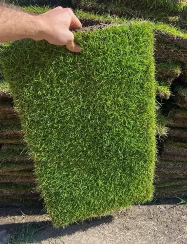 250 Metros de Grama São Carlos Direto da Fazenda
