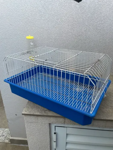 Gaiola porquinho da índia, hamster