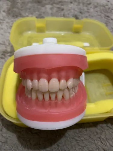 Manequim odontológico dentistica da Pronew