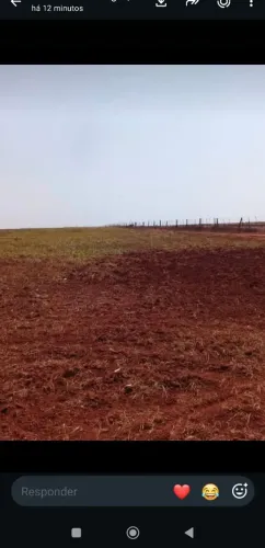 Fazenda de arrendamento soja 1.200 hec a 85 km de Rondonópolis MT.