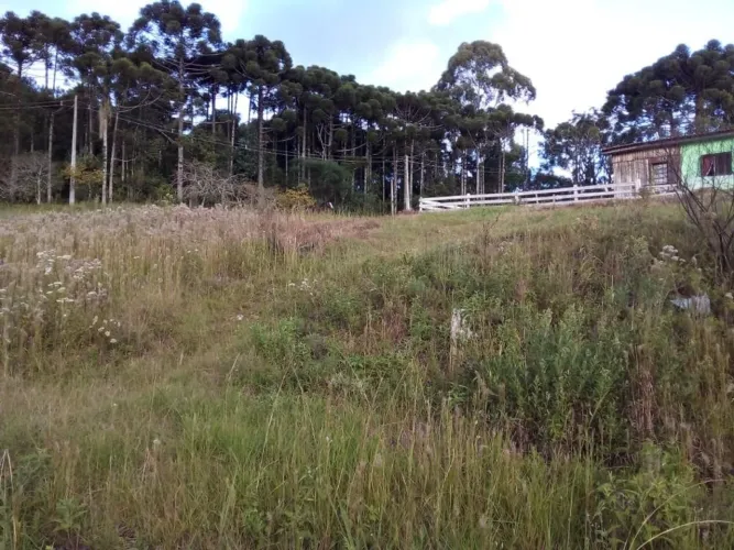 Terreno Galópolis Caxias do Sul