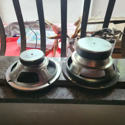 Vendo esses alto falantes