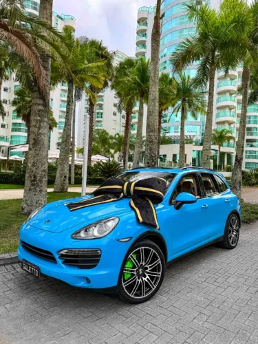 Porsche Cayenne S 4.5/4.8 2013