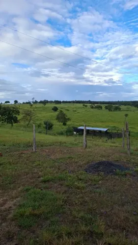 FAZENDA 15,55 ALQUEIRES - CÓRREGO DO OURO- GO