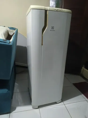 Geladeira Eletrolux RE 33 1 Porta 262 Litros