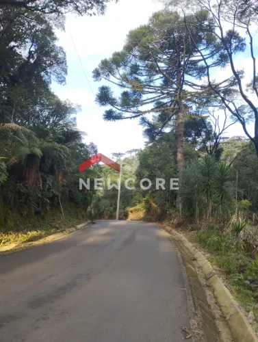 Lote em Rua da Carapina - Vale do Carapina - São Francisco de Paula/RS