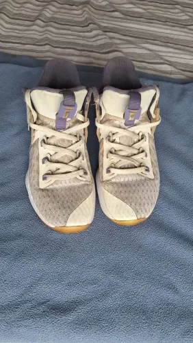 LeBron Witness 5(usado)