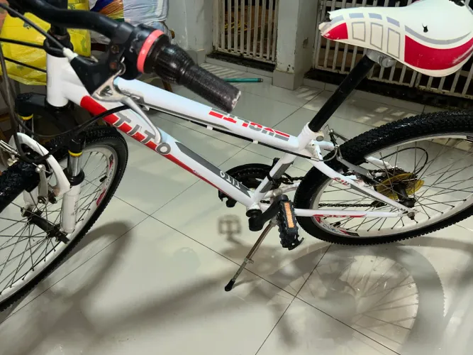 BICICLETA TITO ARO 24