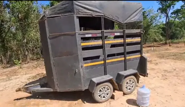 Carretinha trucada para dois cavalos 