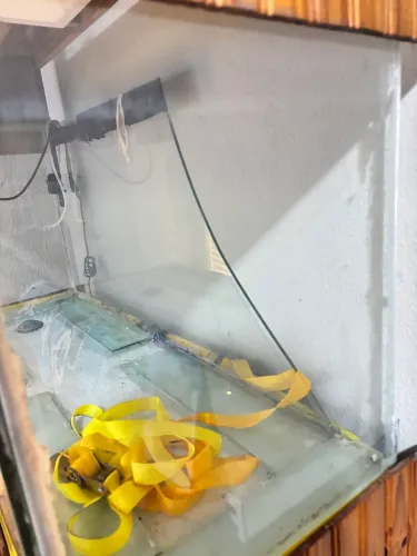 ? VENDO AQUÁRIO 250 LITROS ?