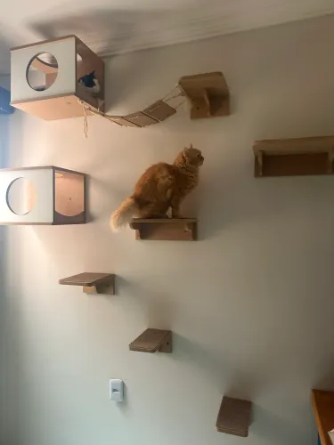 Playground Gato MDF Reforçado (grosso) 9pçs Montado 100% MDF Gatos Completo