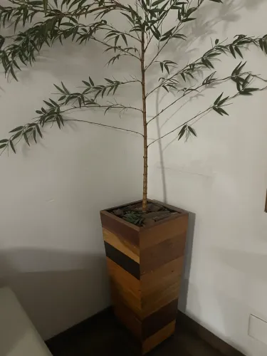Vaso grande de madeira com bambu musso artificial