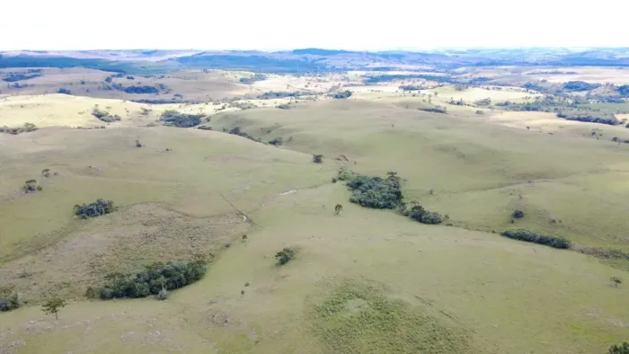 Fazenda a venda com 280 hectares - Lages/SC