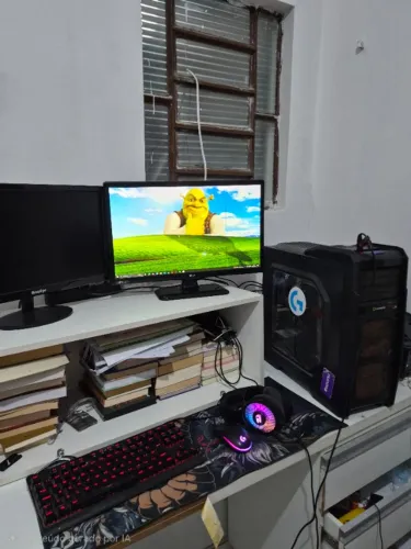 PC gamer