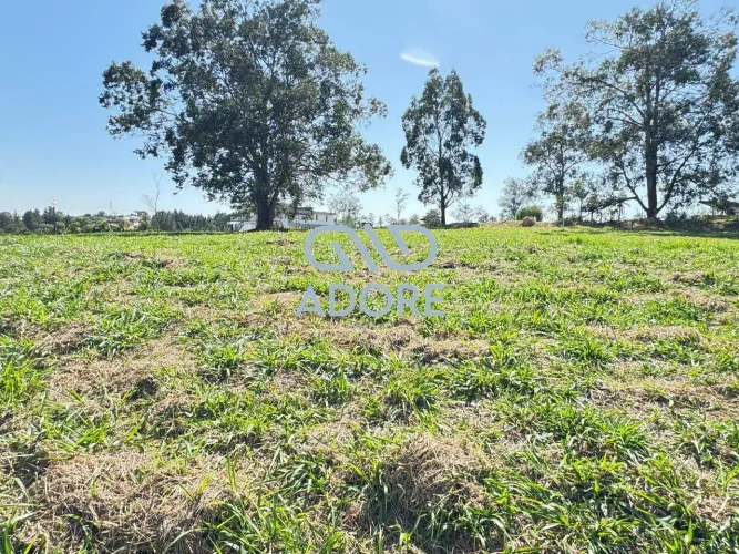 Terreno Plano à Venda no Condomínio Terras de São José II em Itu/SP | 2.549M²