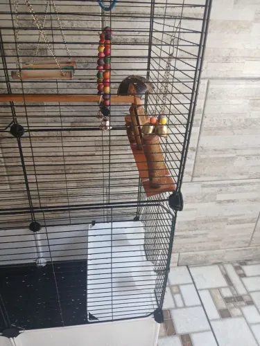Gaiola Completa