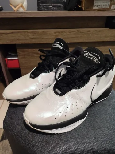 Nike LeBron 21 Tam 43 11US