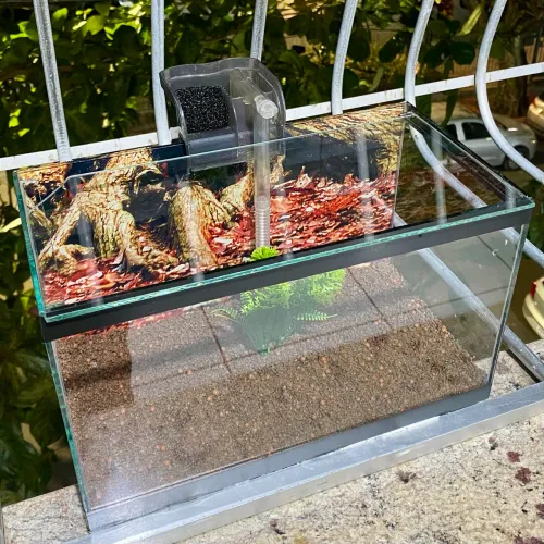 Aquário de 10L Completo! ?