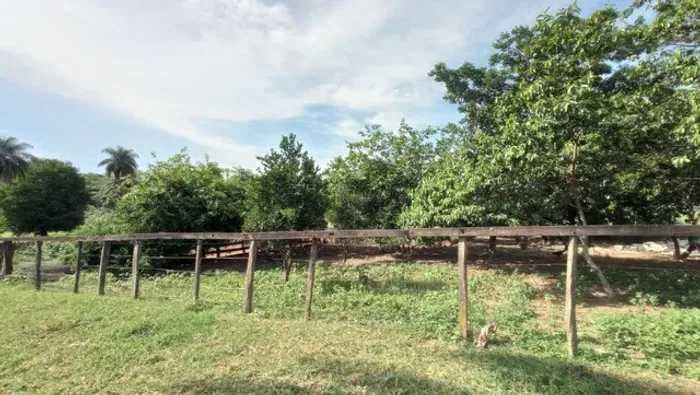 Fazenda escriturada no Povoado Bezerra Formosa aceito carro